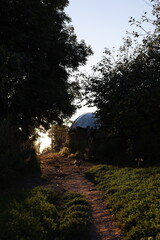sunset in the village garden 