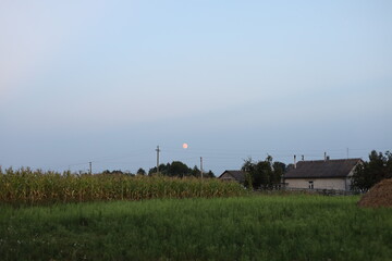 moon in the village landscape