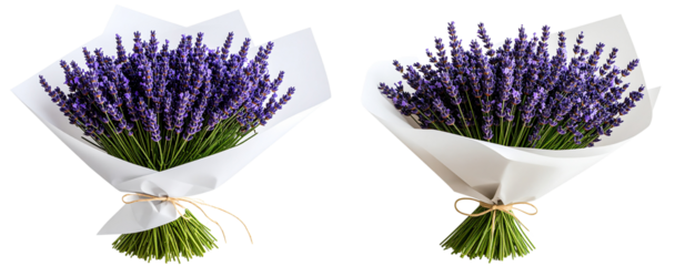 Minimalist lavender bouquet wrapped in white paper, side angle, isolated on transparent background