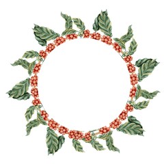 Watercolor illustration of a coffee branch with red berries and green leaves wreath. Associated with coffee and tropical plants. Suitable for printing on packaging, postcards, for social networks