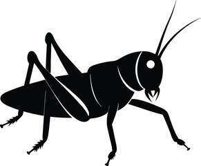 silhouette of a grasshopper