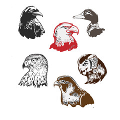 eagle had