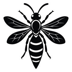 wasp vector sihouette