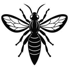 wasp vector sihouette