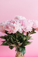 A vibrant bouquet of soft pink blooming peonies in a clear glass vase against a pastel pink background