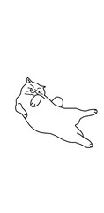 cat fell asleep funny illustration line art hand drawn meme