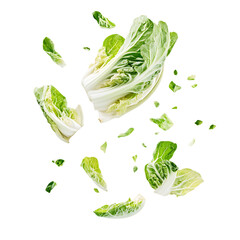 Obraz premium Chinese cabbage slice falling and floating png