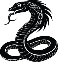 Fototapeta premium black and white snake