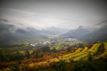 Fototapeta premium Hui-style architecture and rapeseed flowers in spring in Anhui, China