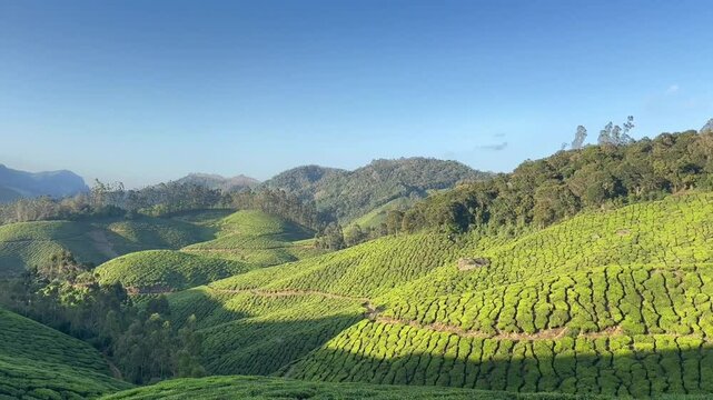 landscape with idli hills munnar