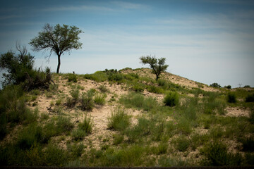 Obraz premium Hunshandake Sandy Land in Inner Mongolia, China