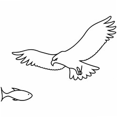 Vector illustration of a soaring eagle hunting a fish with clean black outlines on a white background