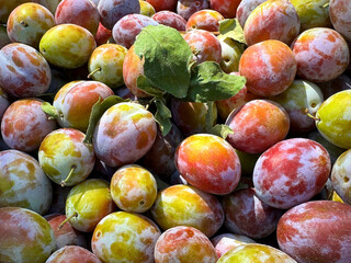 Ripe plums fruits sweet sour taste 