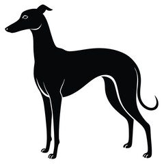 whippet vector sihouette