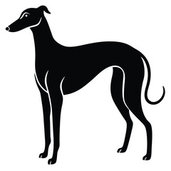 whippet vector sihouette