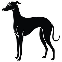 whippet vector sihouette