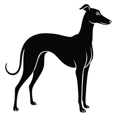 whippet vector sihouette