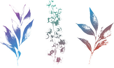 Set Of flowers, Gradient color Continuous Line Drawing Set Of Plants, Trendy floral branch and minimalist flowers