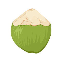 Open green coconut. Hand drawn drinking coconut. Beach cocktail. Beach party.
