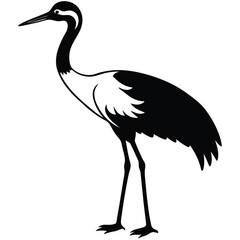 WHOOPING CRIHE VECTOR