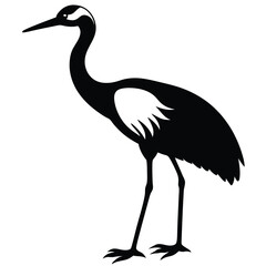 Fototapeta premium WHOOPING CRIHE VECTOR