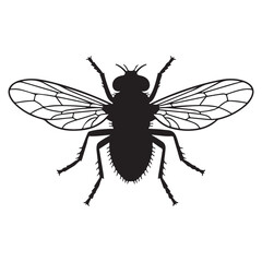 Realistic Housefly On Surface Silhouette