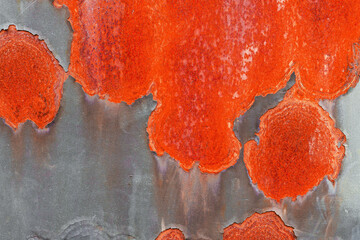 Metal wall with red rust stains and peeling gray paint. Abstract grunge color background