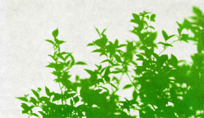 リアルな葉っぱのシルエットアート、風にそよぐ美しい緑