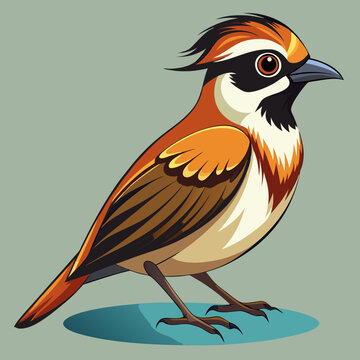 bird on a branch