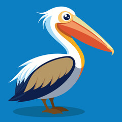 pelican on white background