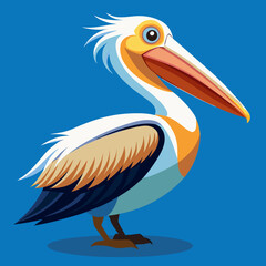 pelican on the beach