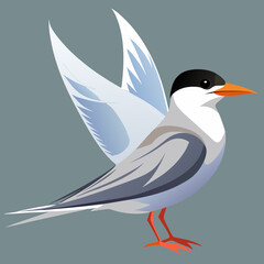 vector illustration of a bird
