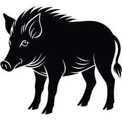 WILD BOAR VECTOR