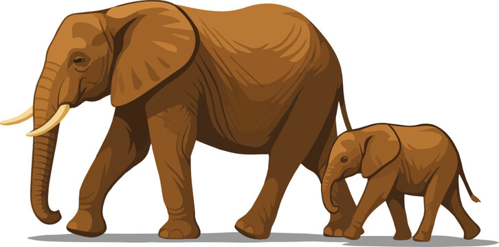 Elephant and her baby walking vector illustration