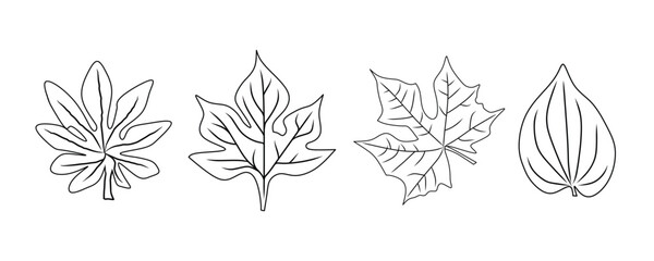 A black and white outline drawing featuring four distinct leaf shapes, ideal for artistic projects, botanical designs, and educational materials emphasizing nature and plant study.
