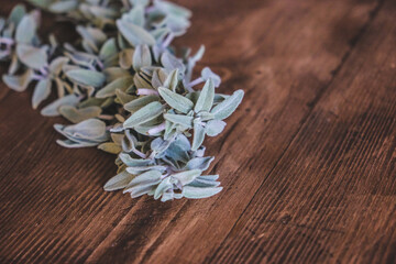 Fresh green sage leaves, for culinary, herbal, or natural wellness uses. Salvia officinalis