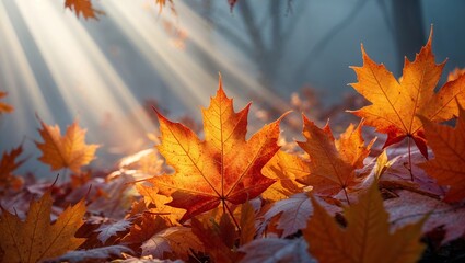 Scattered autumn leaves on the ground illuminated by light.