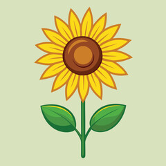 Sunflower vector illustration