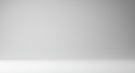 Empty Room with White Wall and Floor in Studio Lighting