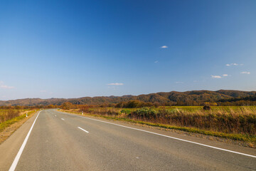 Asphalt road in the mountains. Mountain landscape