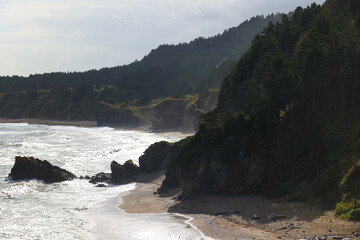 Rocks with forest growing on them near the ocean coast. Island landscape