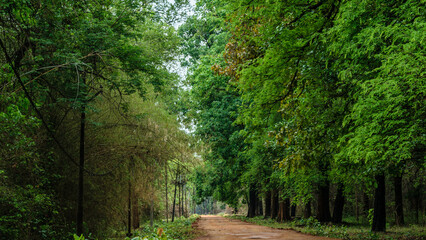 Photo of the Tadoba Andhari Tiger Reserve visit in the summer
