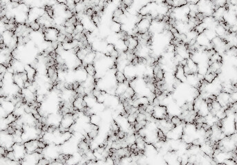 White Marble Texture with Subtle Gray Veining