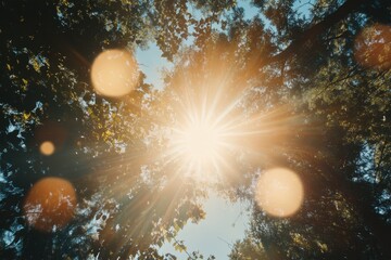 Sunlight through the Canopy: Captured from a ground-up perspective, radiant sunbeams burst through the vibrant canopy of a lush forest, showcasing the awe-inspiring power of nature.