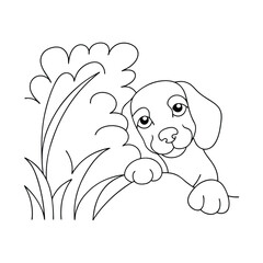 Adorable beagle puppy hiding in the grass line art