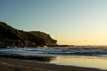 Coastal cliffs at Muriwai Beach bathed in golden sunset light. Waves crash gently on the shore as seabirds soar above, capturing the serene beauty of New Zealand's rugged west coast