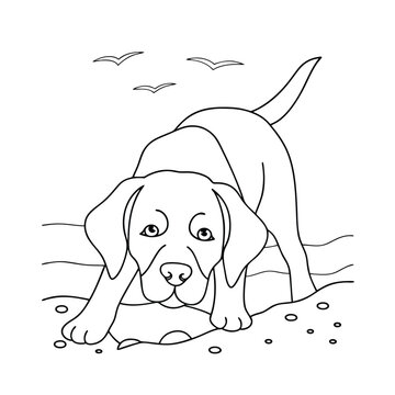 labrador puppy digging sand beach clip art preview