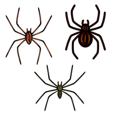 Vector illustration of three stylized spiders with varying colors and leg lengths, perfect for Halloween designs or arachnid-themed projects.