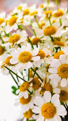 White and yellow daisies in a floral arrangement.