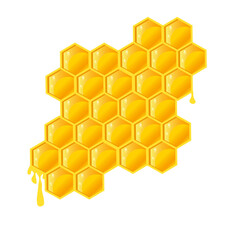 honeycomb